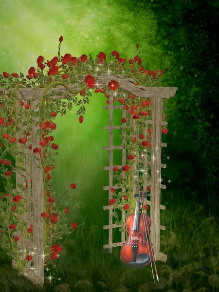 Zahrada růží — Stock fotografie