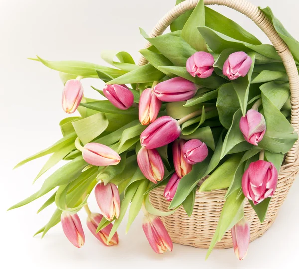 Cesta de madera con tulipanes rosados aislados —  Fotos de Stock