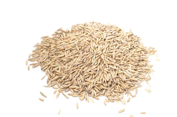 Oat grains — Stock Photo, Image