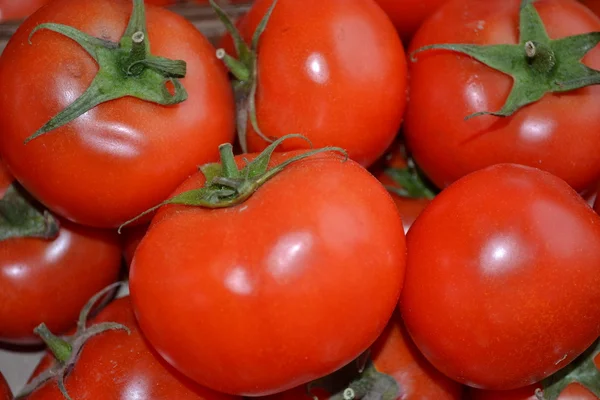 Świeże pomidory . — Zdjęcie stockowe