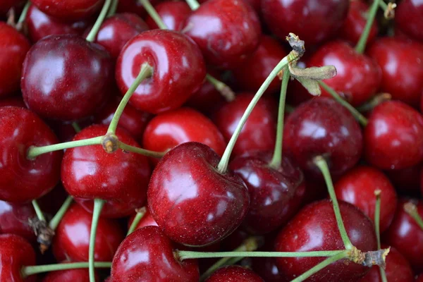 Sweet cherry berries. Royalty Free Stock Photos