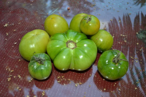 Pomidory zielone. — Zdjęcie stockowe