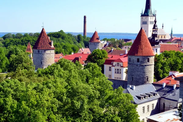 stock image Medieval fortress of Tallinn