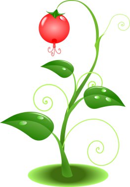 Wood berry clipart