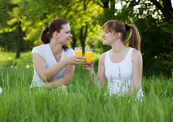 Hermanas bebiendo jugo de naranja en un parque Imagen De Stock