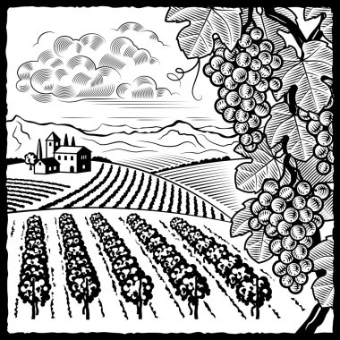 Vineyard landscape black and white clipart