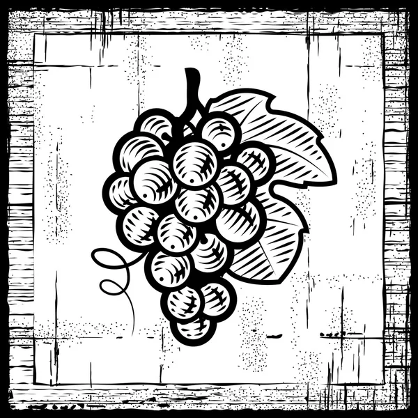 Retro uvas cacho preto e branco — Vetor de Stock