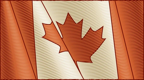 Vintage Canadian Flag (close-up) — Stock Vector