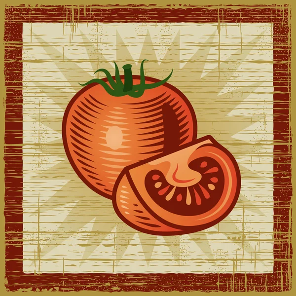 复古番茄 — 图库矢量图片