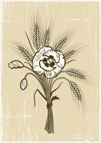复古的小麦和罂粟花束 — 图库矢量图片