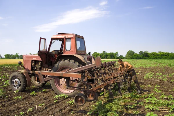 Ucrania.Tractor. Campo. Girasol. Cultivo . — Foto de Stock