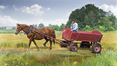 Ukraine. Ukrainian village. Ukrainian life.Man goes on the field. The Garden. The Horse. Village life. clipart