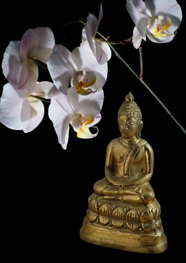 Bronze Buddha and Orchid clipart