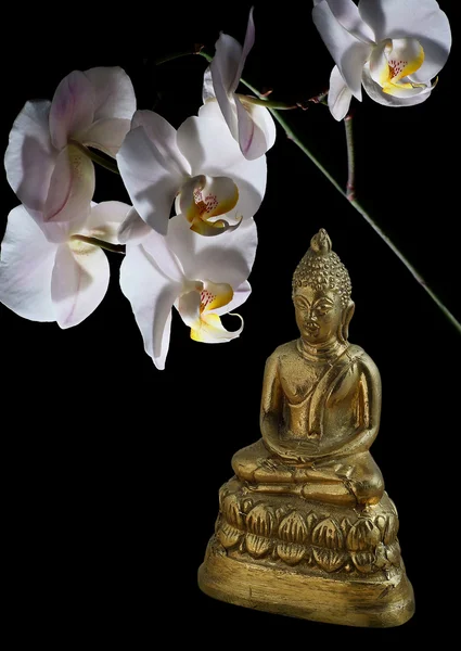 Bronzen Boeddha en orchid — Stockfoto