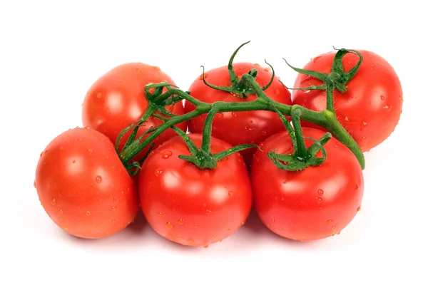 Taze kırmızı domatesler — Stok fotoğraf