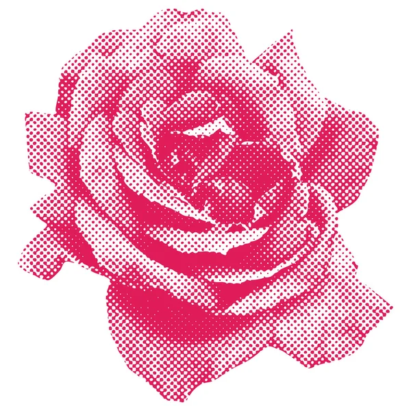 Półtony róża — Zdjęcie stockowe