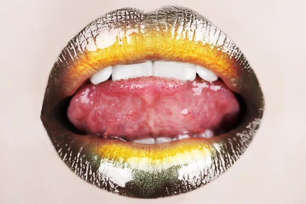 Makro siyah dudak — Stok fotoğraf