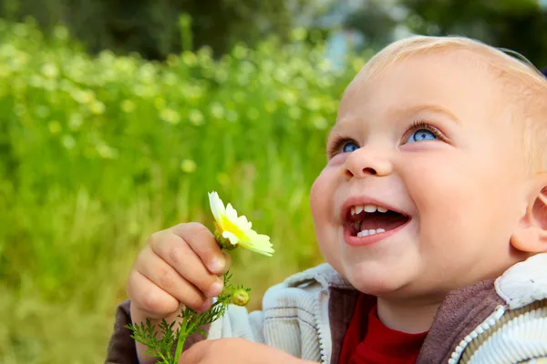Liten bebis skrattar med daisy Royaltyfria Stockbilder