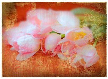 Grunge pink tulips page clipart