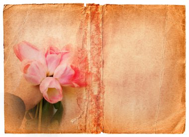 Grunge book page with pink tulips clipart