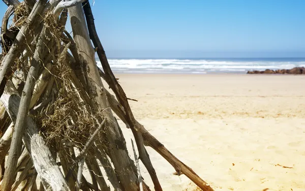 Drift wood stacked on the beach — Stok fotoğraf