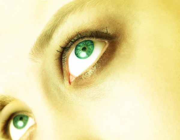 Gröna ögon — Stockfoto