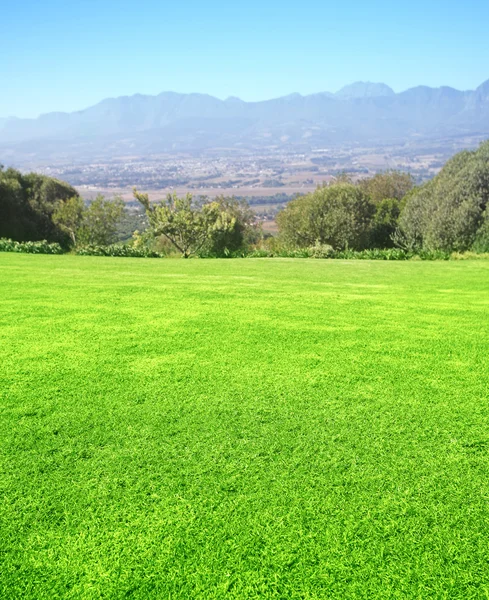 Fundo de grama verde com montanhas — Fotografia de Stock