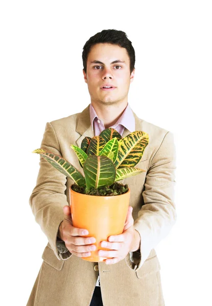 Uomo con una pianta — Foto Stock