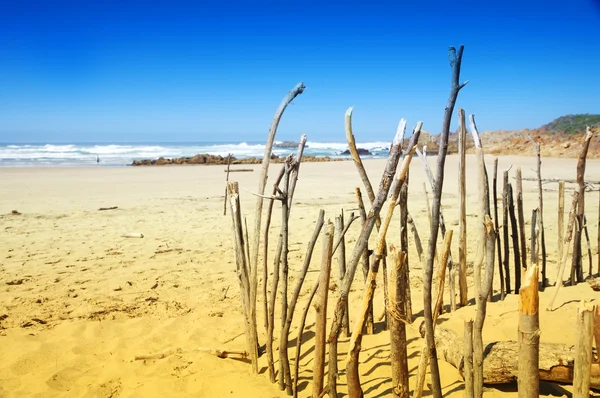Tratto di spiaggia a knysna, africa.stretch sud della spiaggia di knysna, Sud — Foto Stock