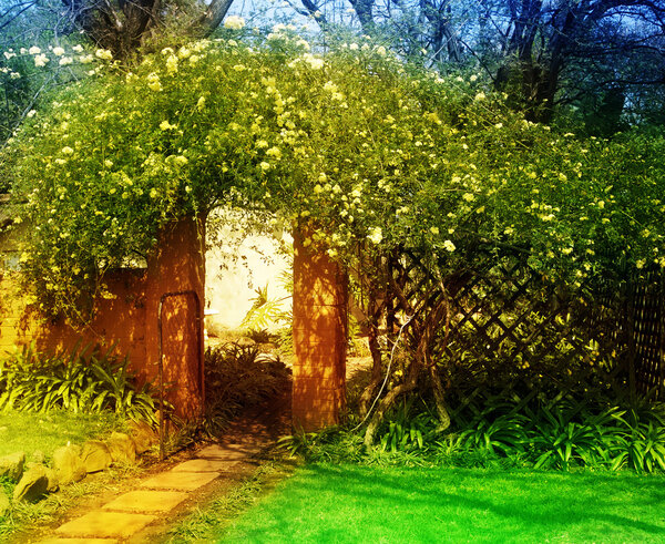 Enchanted garden