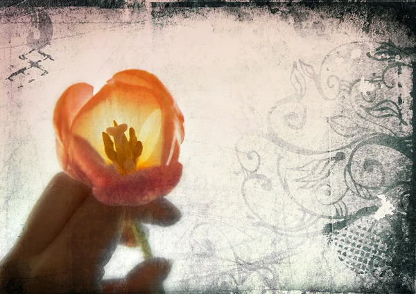 Grunge-Seite der Frauenhand mit Tulpe — Stockfoto