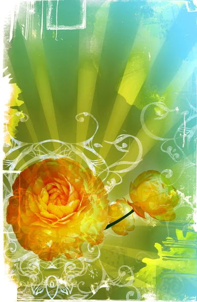 Grunge página com manchas, raios e flores — Fotografia de Stock