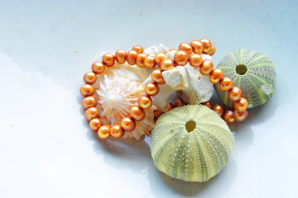 海边的贝壳和珍珠 — 图库照片