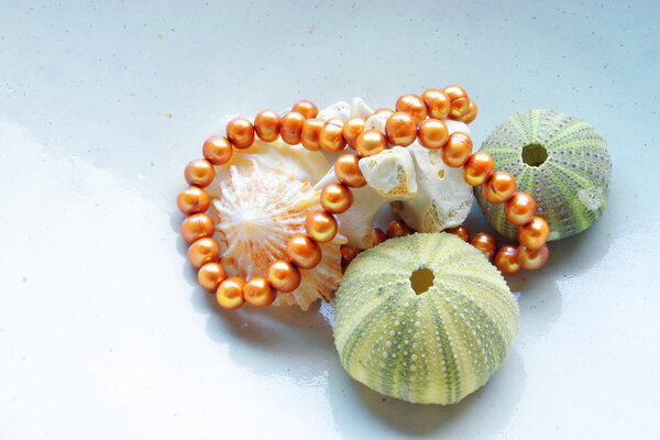 Sea shells and pearls