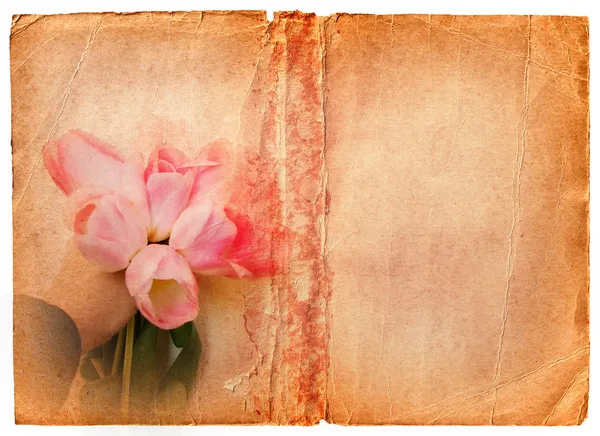 Grunge página do livro com tulipas rosa — Fotografia de Stock