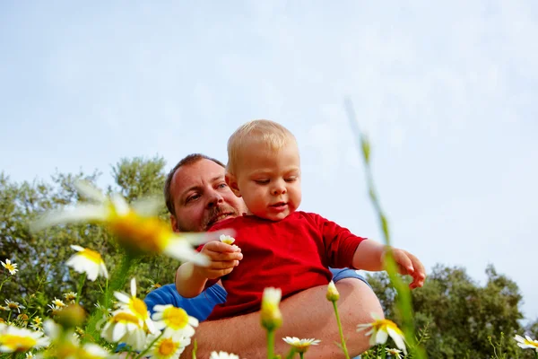 Padre e figlio nei fiori — Foto Stock