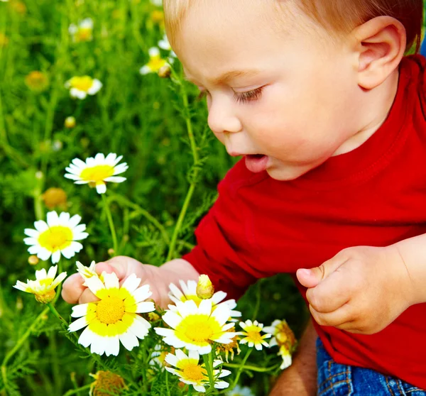 Boy in flowers — Stock Photo, Image