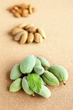 Almond nuts clipart