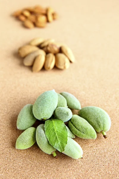 stock image Almond nuts