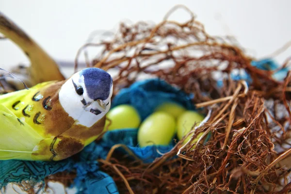 Œufs de Pâques avec un oiseau — Photo