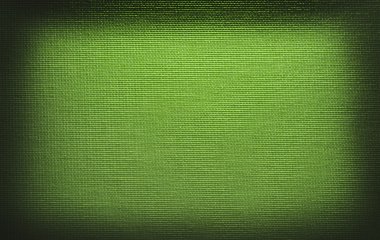 Light green canvas texture clipart