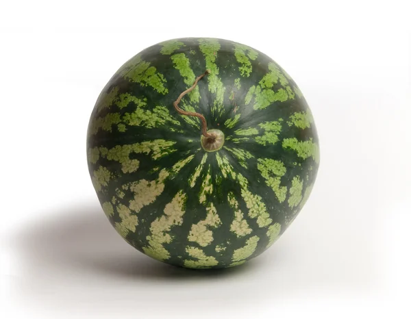 stock image Water-melon