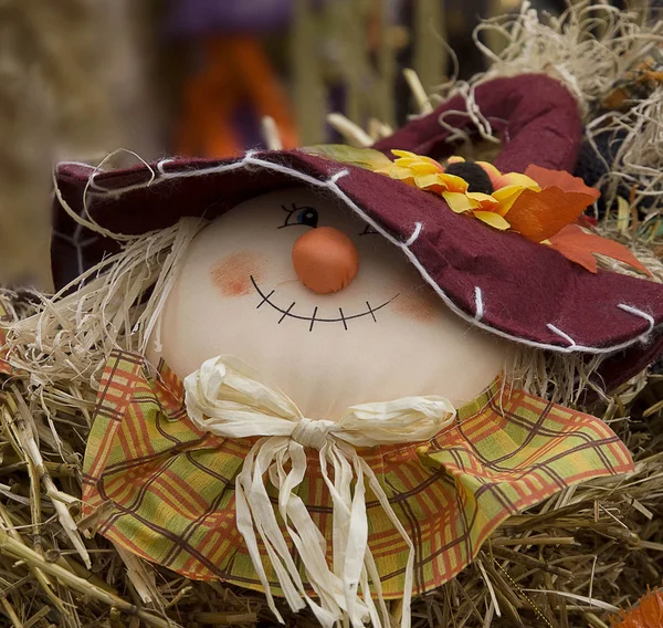 stock image Scarecrow