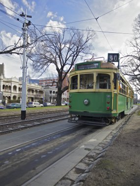 Trams in Melbourne clipart