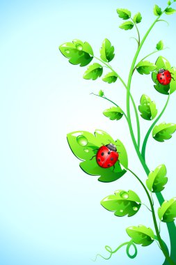 Bug on plant clipart