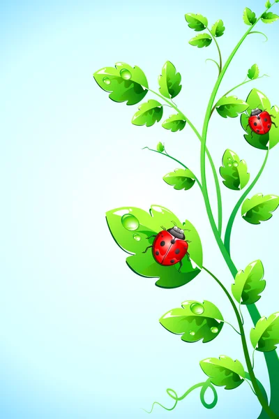 Käfer auf Pflanze — Stockvektor