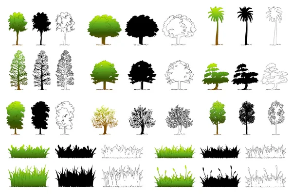Set of Different Tree — Stock Vector