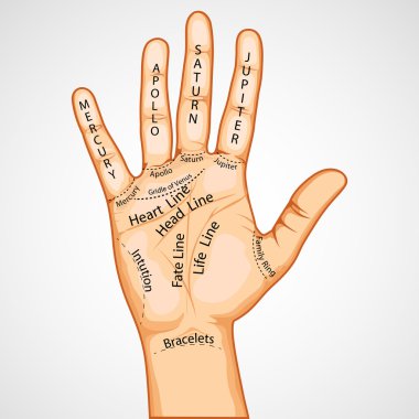 Palmistry Map clipart