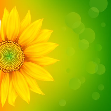 Bright Sunflower clipart