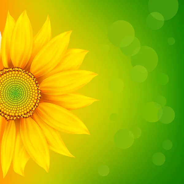 Bright Sunflower — Stock Vector